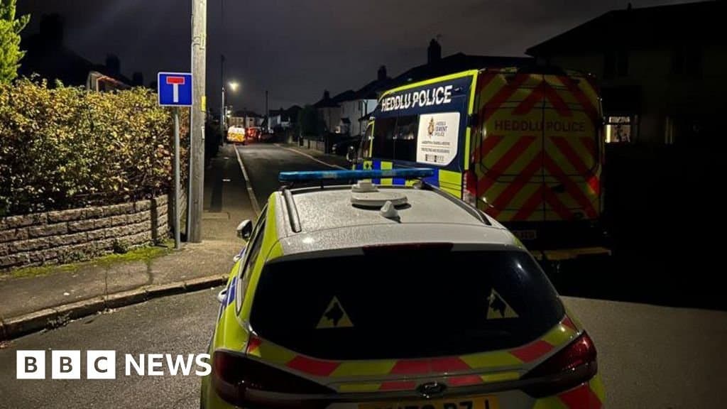 A nine-month-old baby was killed in a dog attack in Rogiet, Monmouthshire, on Sunday.